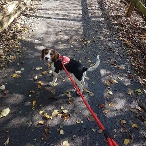 Meet your Posher, Kasra